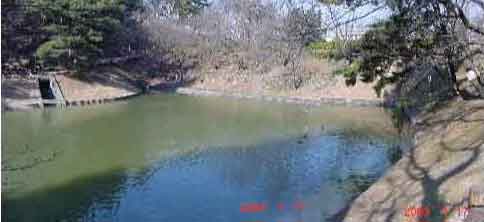 富栄養化